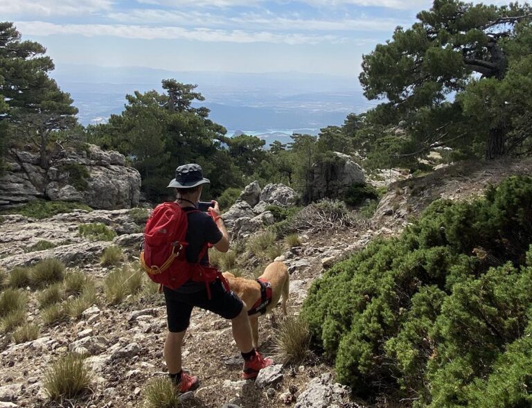 68ctzldpb7txn0cwkzk2