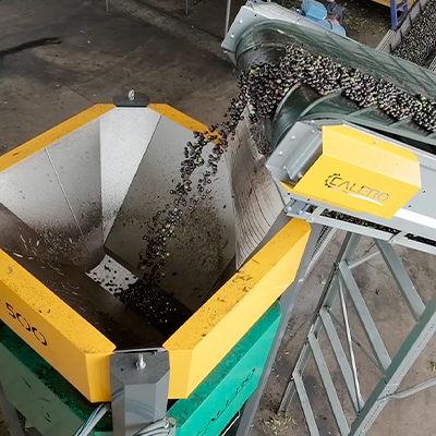 Inicio almazaraselora